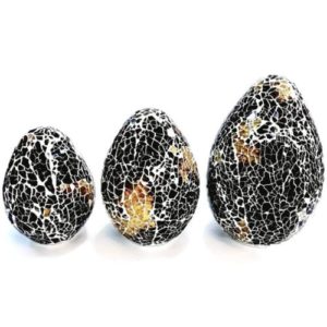 Lot de - trois - œufs - décoration - noir - blanc - orangé